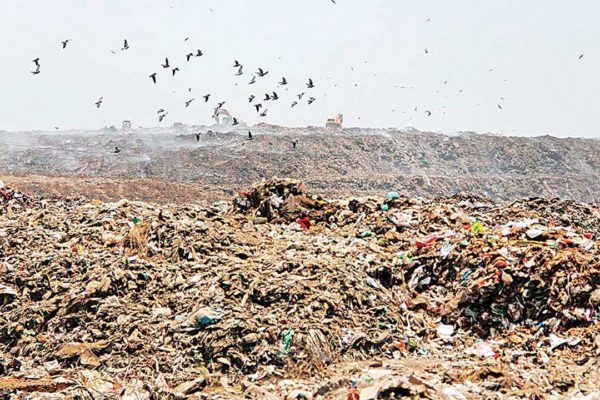 Landfill site development